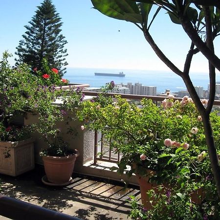 123 Ocean View Drive Apartment Cape Town Dış mekan fotoğraf